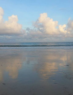 Mystery Location, Fiordland NZ
